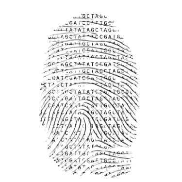 12812.35 30 - RegTech & E-KYC